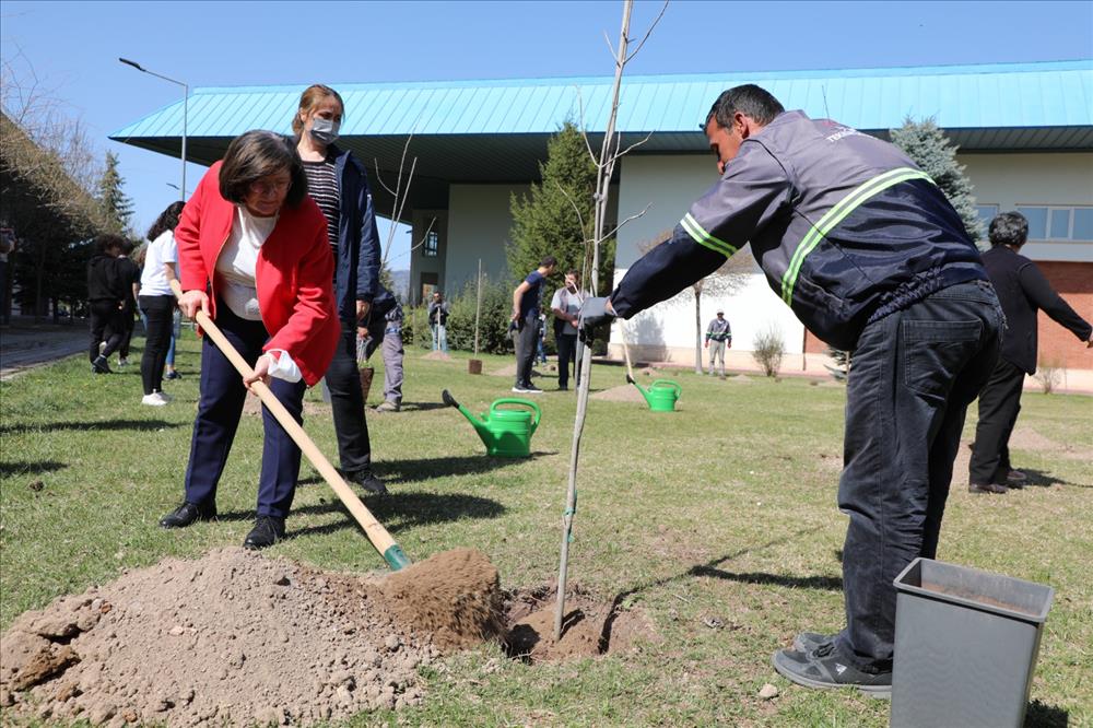 Kampüste Ağaç Dikimi Seferberliği Gerçekleştirildi
